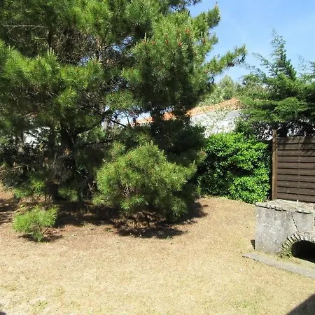 Pétrouchka Dans Les Pins *