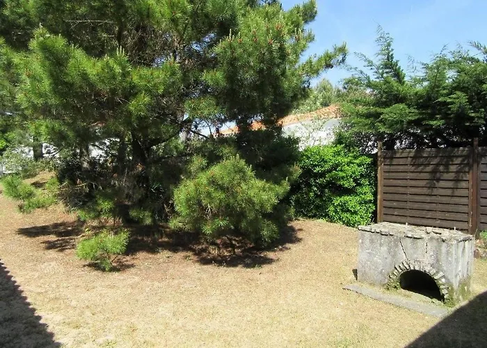 Pétrouchka Dans Les Pins *