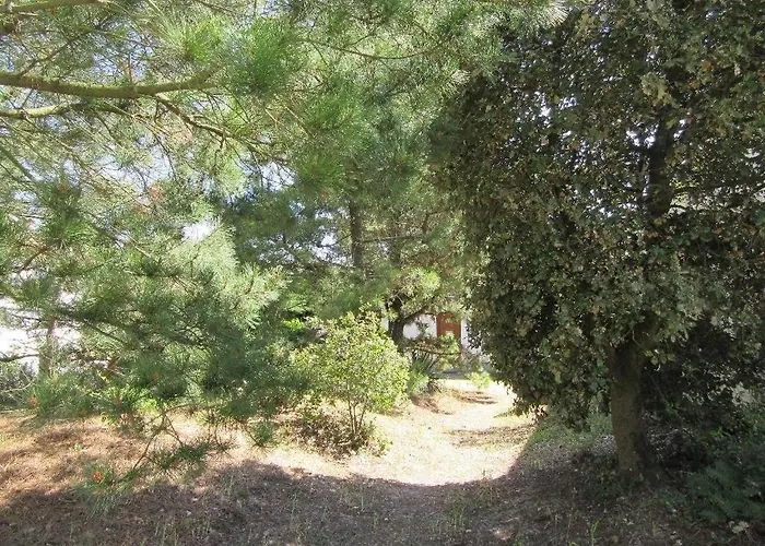 Villa Pétrouchka Dans Les Pins *